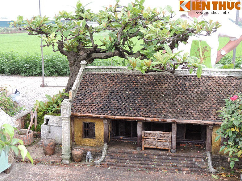 Tieu canh tu bonsai dep me hon cua nghe nhan Hai Phong-Hinh-2